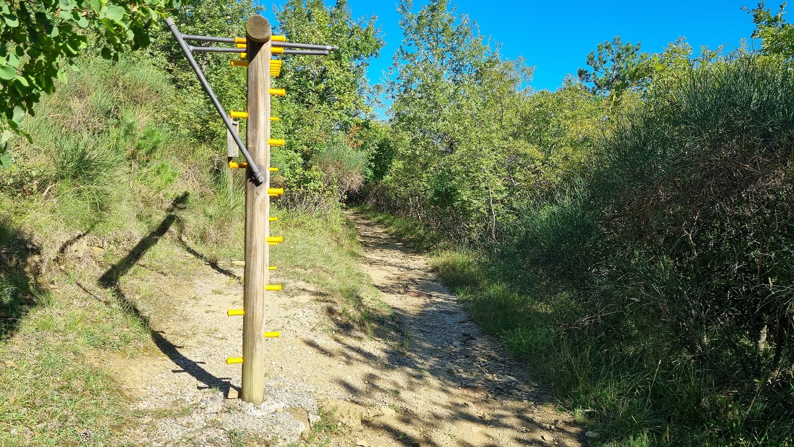 Traversata Muggesana - Bosco Punta Olmi Image