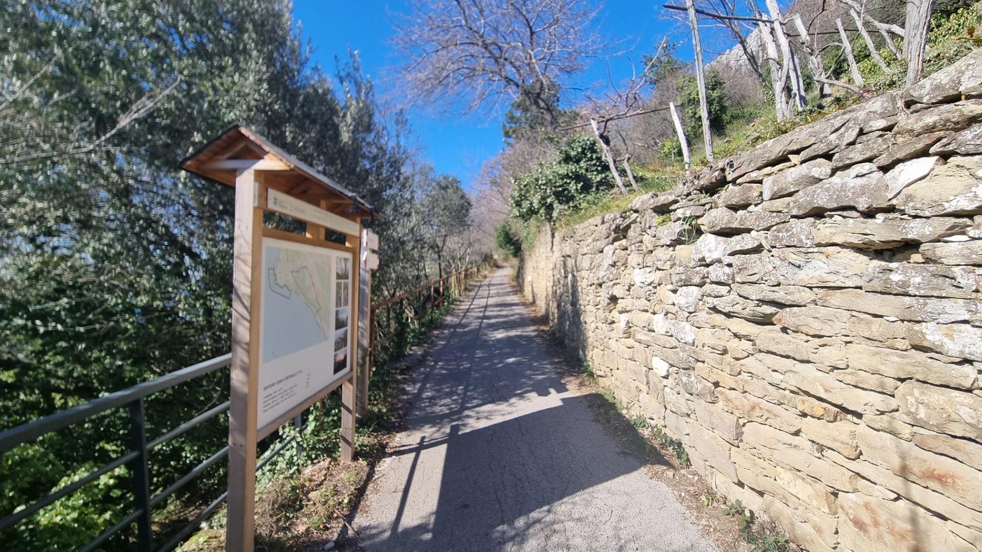 Cedas Trail – Salita di Contovello Image