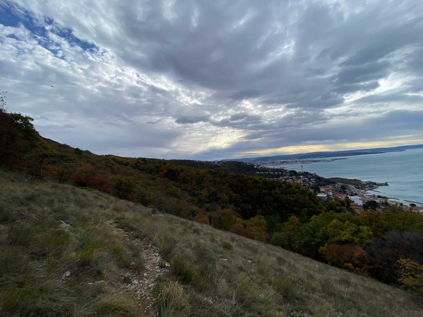 Corsa della Bora - Strada del Friuli - Parco del Bovedo  Image